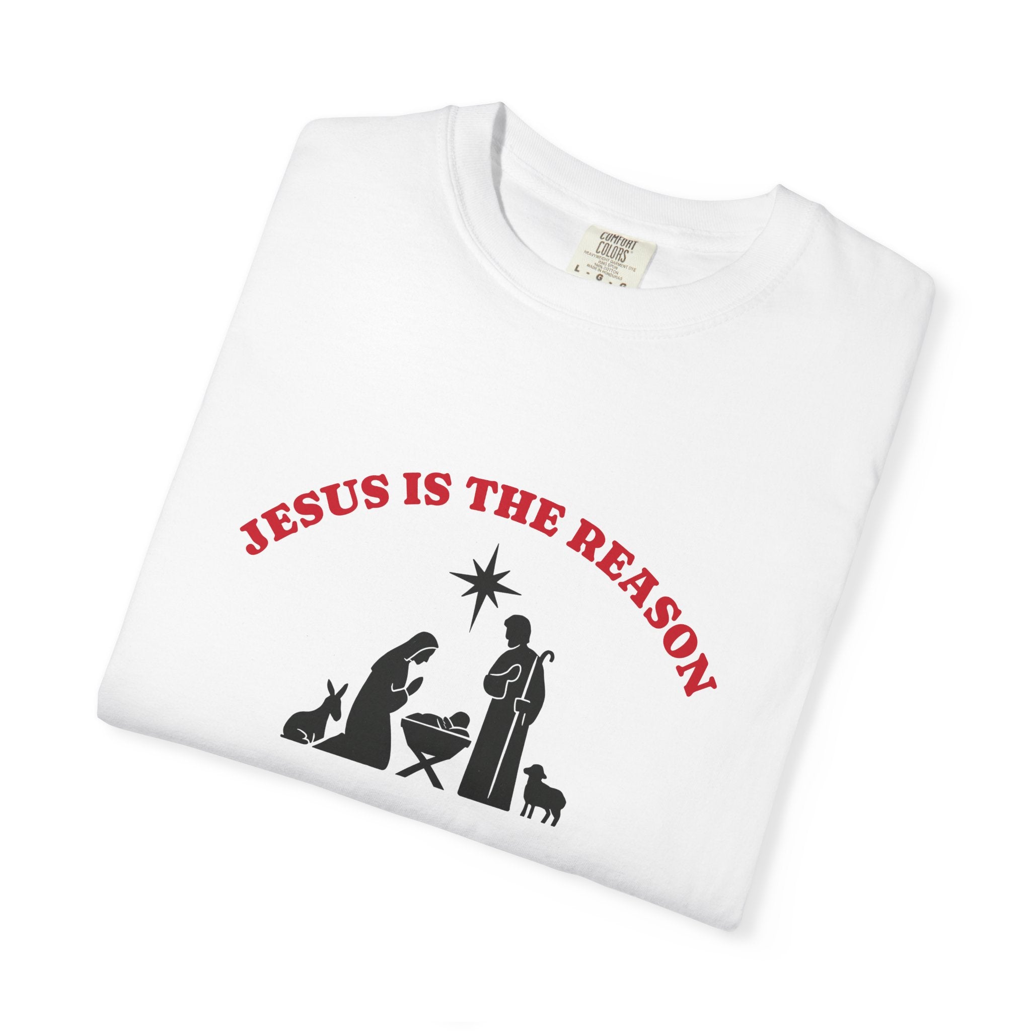 "JESUS IS THE REASON"  Unisex Garment-Dyed T-Shirt