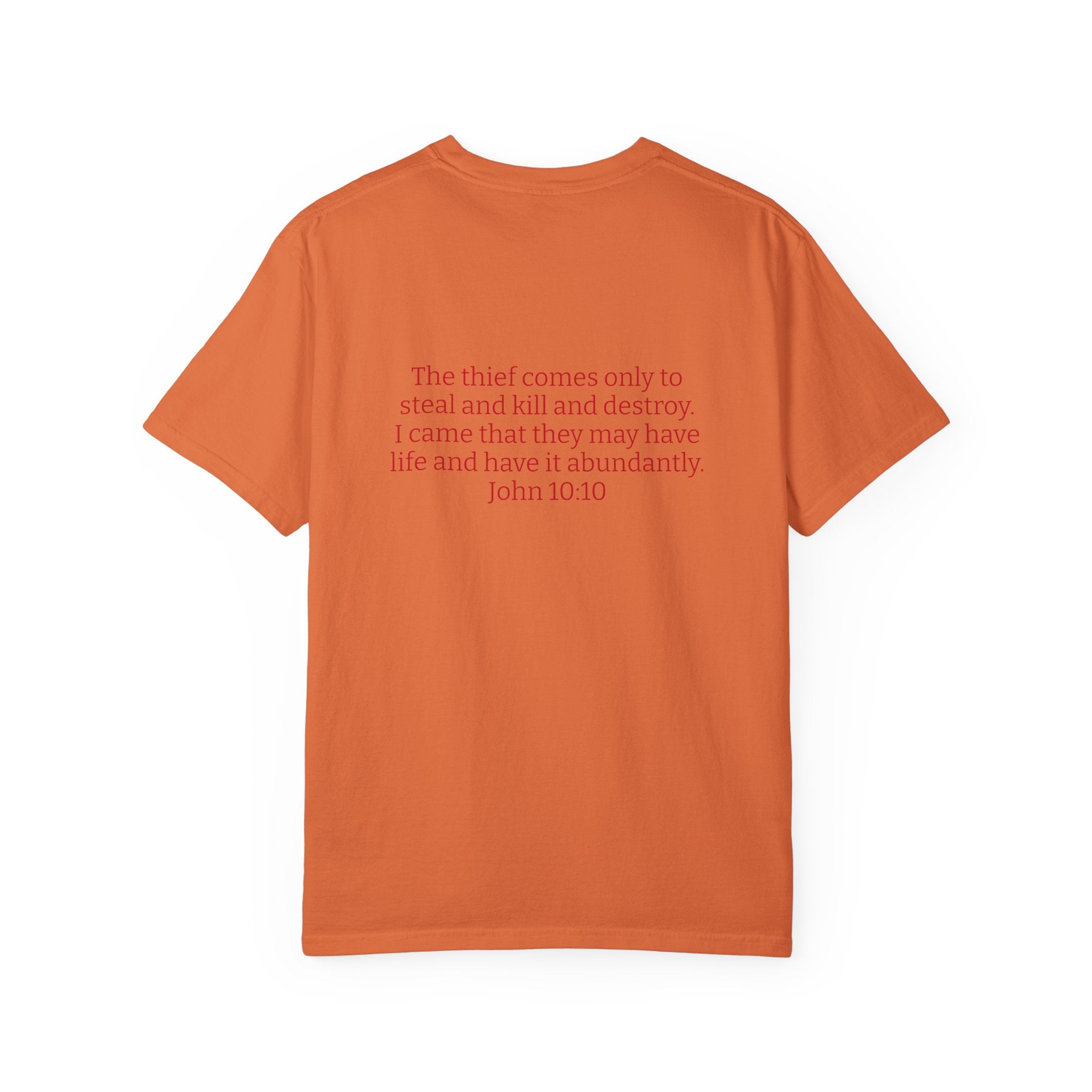 "THE DEVIL IS A LIAR"  Unisex Garment-Dyed T-Shirt